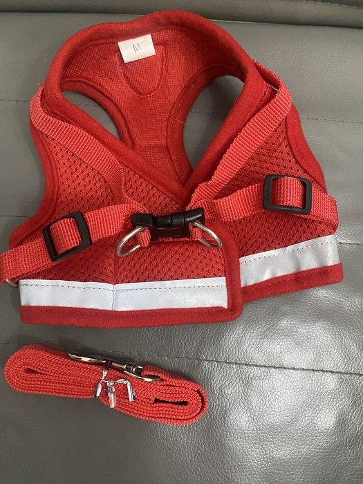 Bezpieczne szelki + smycz