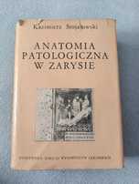 Anatomia patologiczna w zarysie - Stojałowski