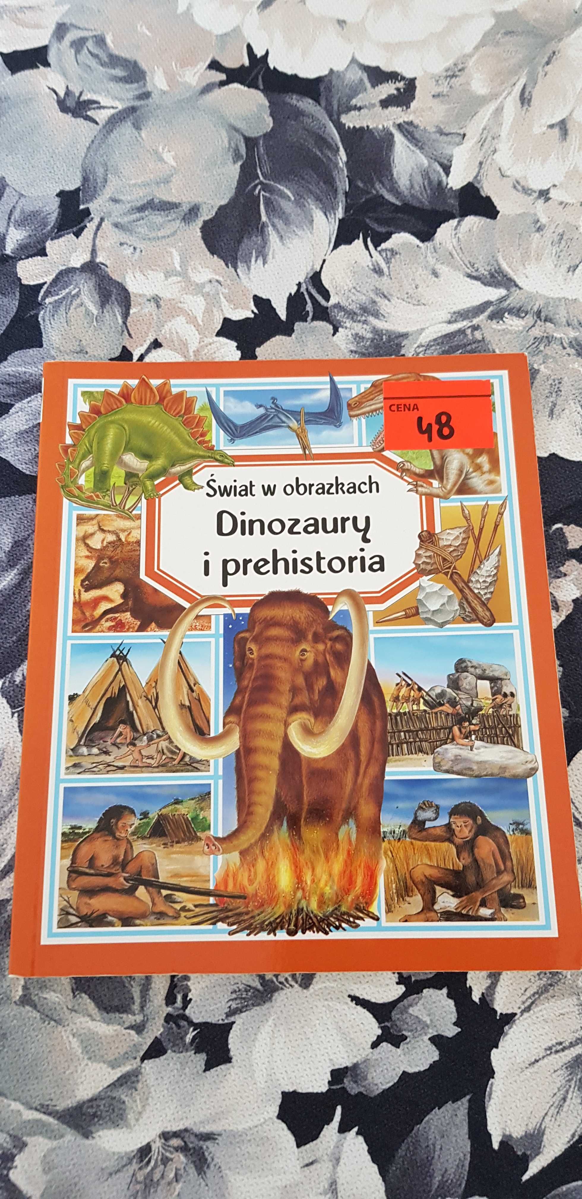 Książka Dinozaury i prehistoria