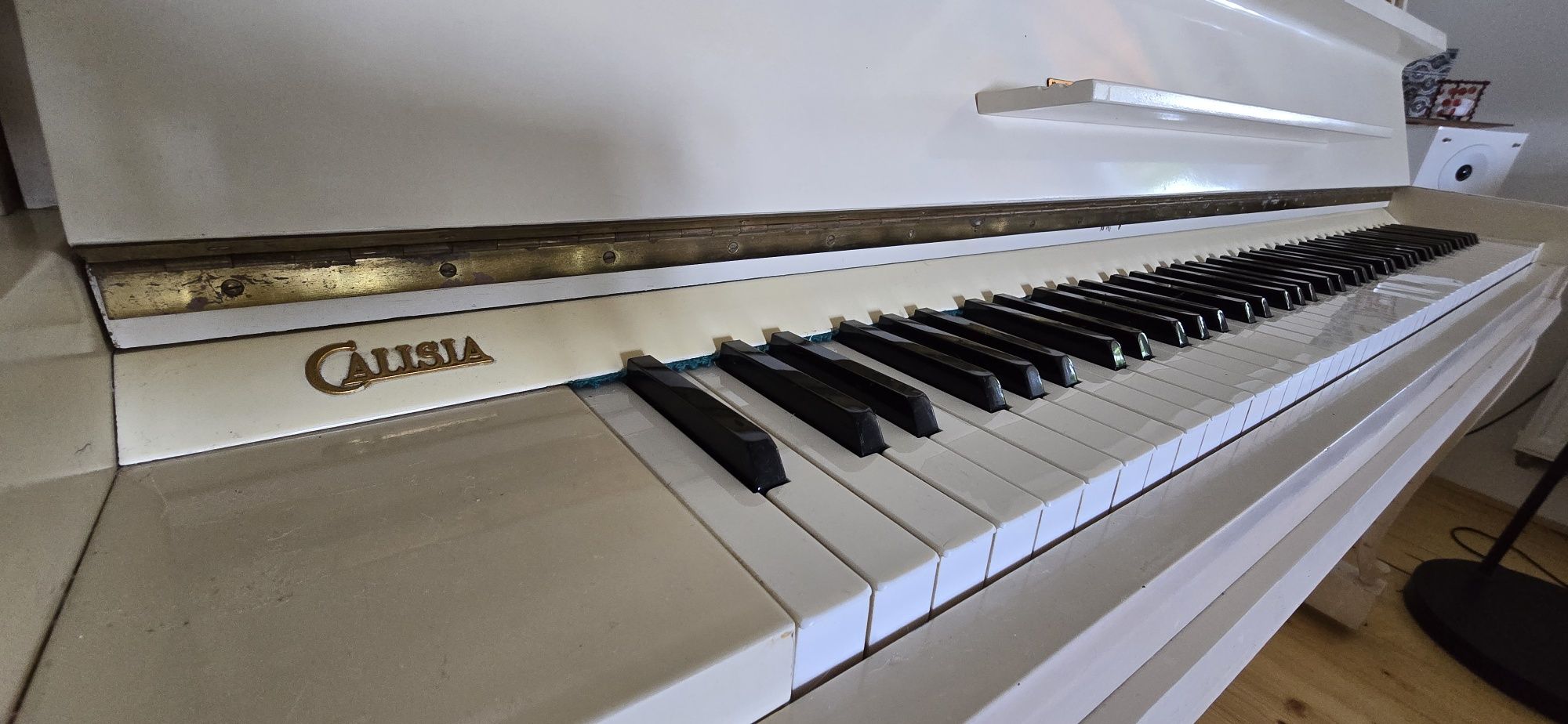 Pianino Calisia Chippendale M-105