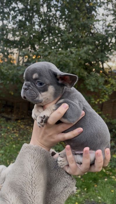 Голубий малюсінький хлопчик