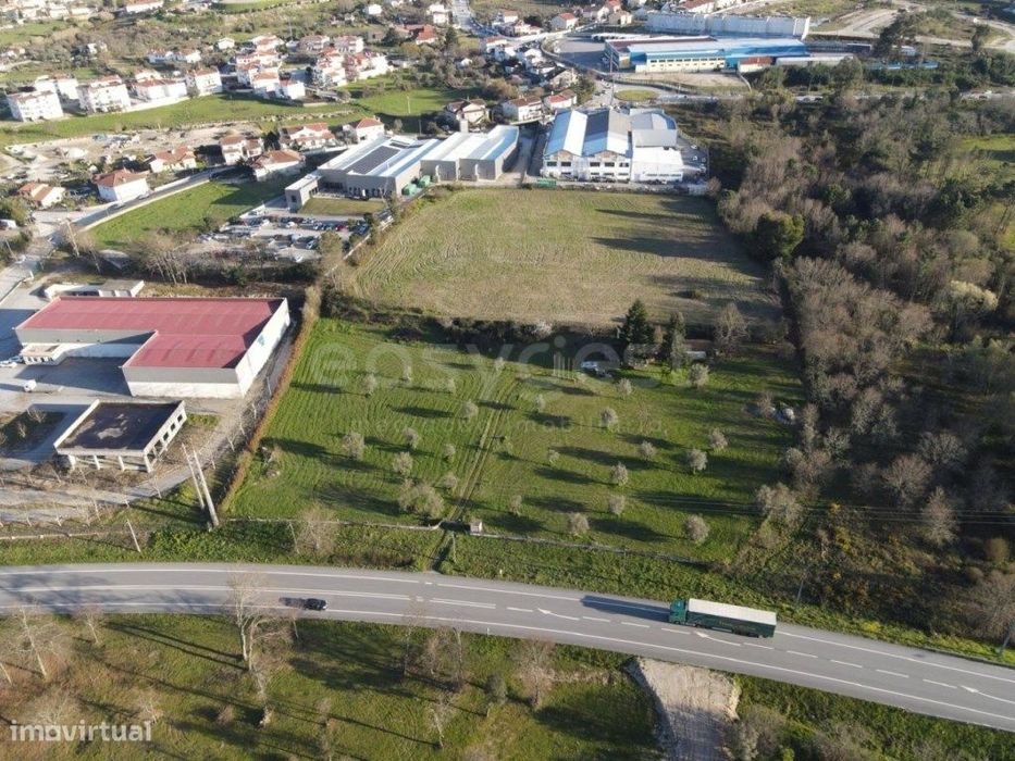 Quinta T3 com cerca de 2 hectares, localizada na cidade de Mangualde.