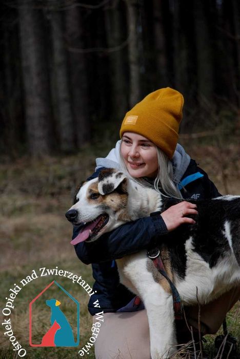 Piękny, duży, wesoły, kocha ludzi - czeka 8 lat na dom!