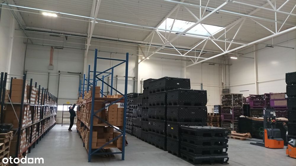 Hala magazynowo-produkcyjna 761,14 m2 - Toruń, ul. Forteczna