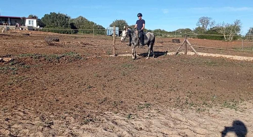 Égua Cruzada Montada