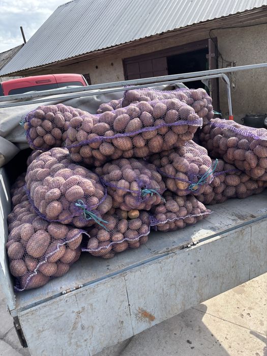Продам картоплю,морву