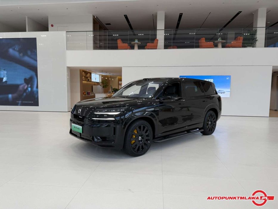 Denza N9 Flagship Auto Punkt