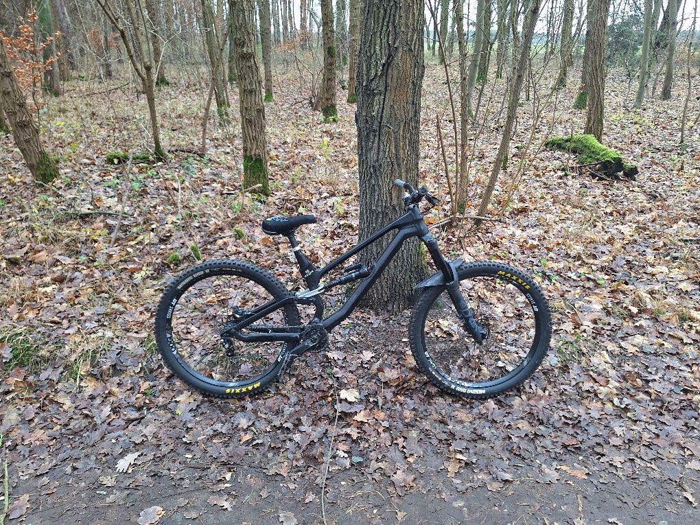 Canyon torque 5.0 2020
