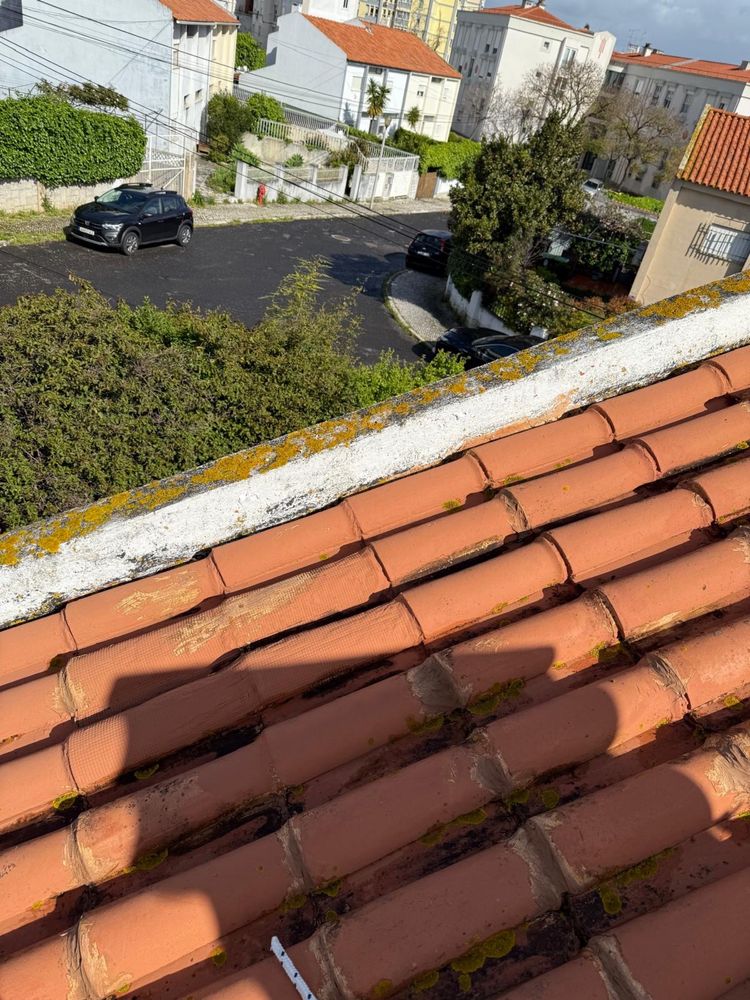 Lavagem e Hidrofugação de Telhados