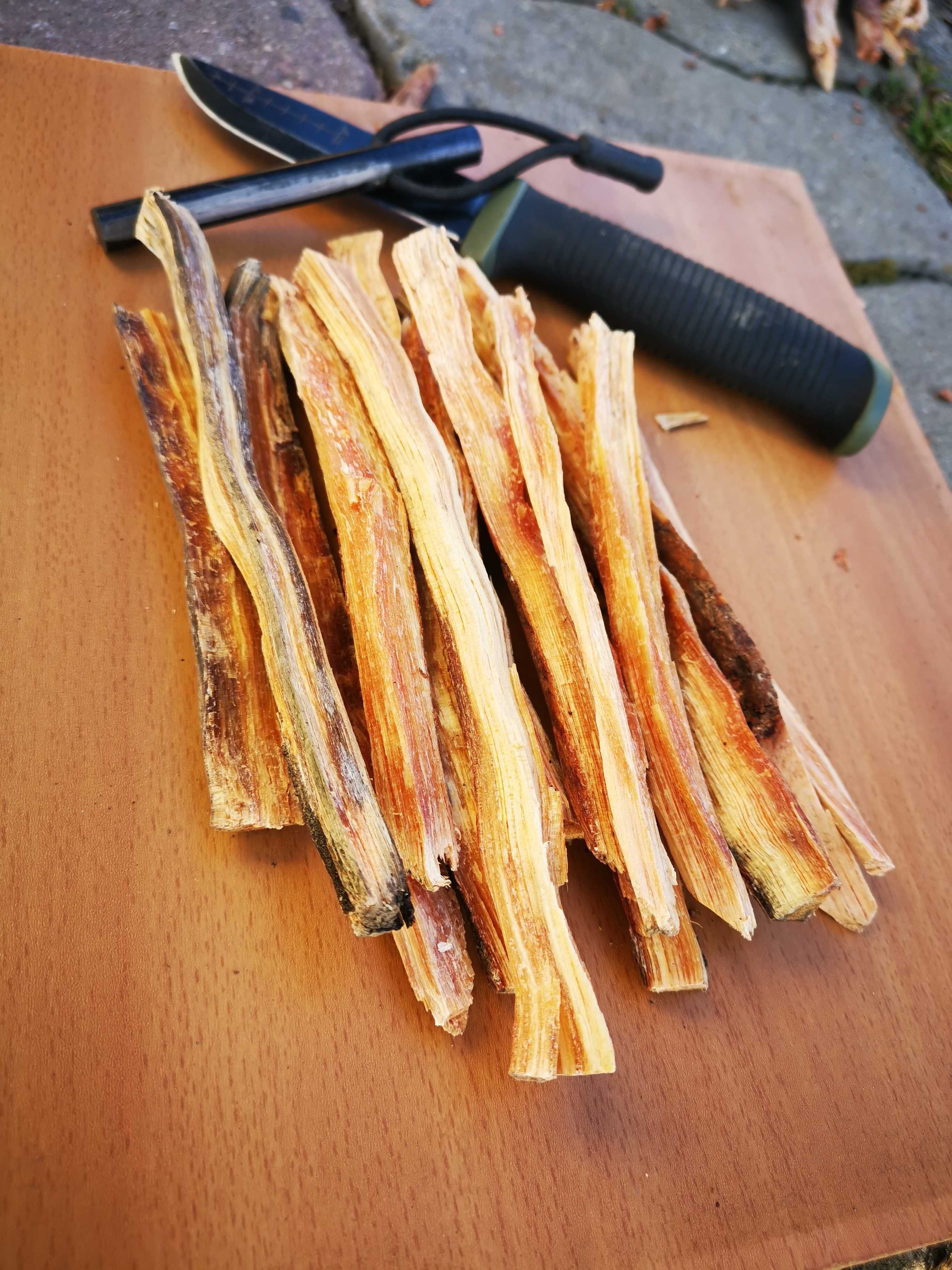 Rozpałka  Tindersticks Smolne szczapki bushcraft survival maya sticks