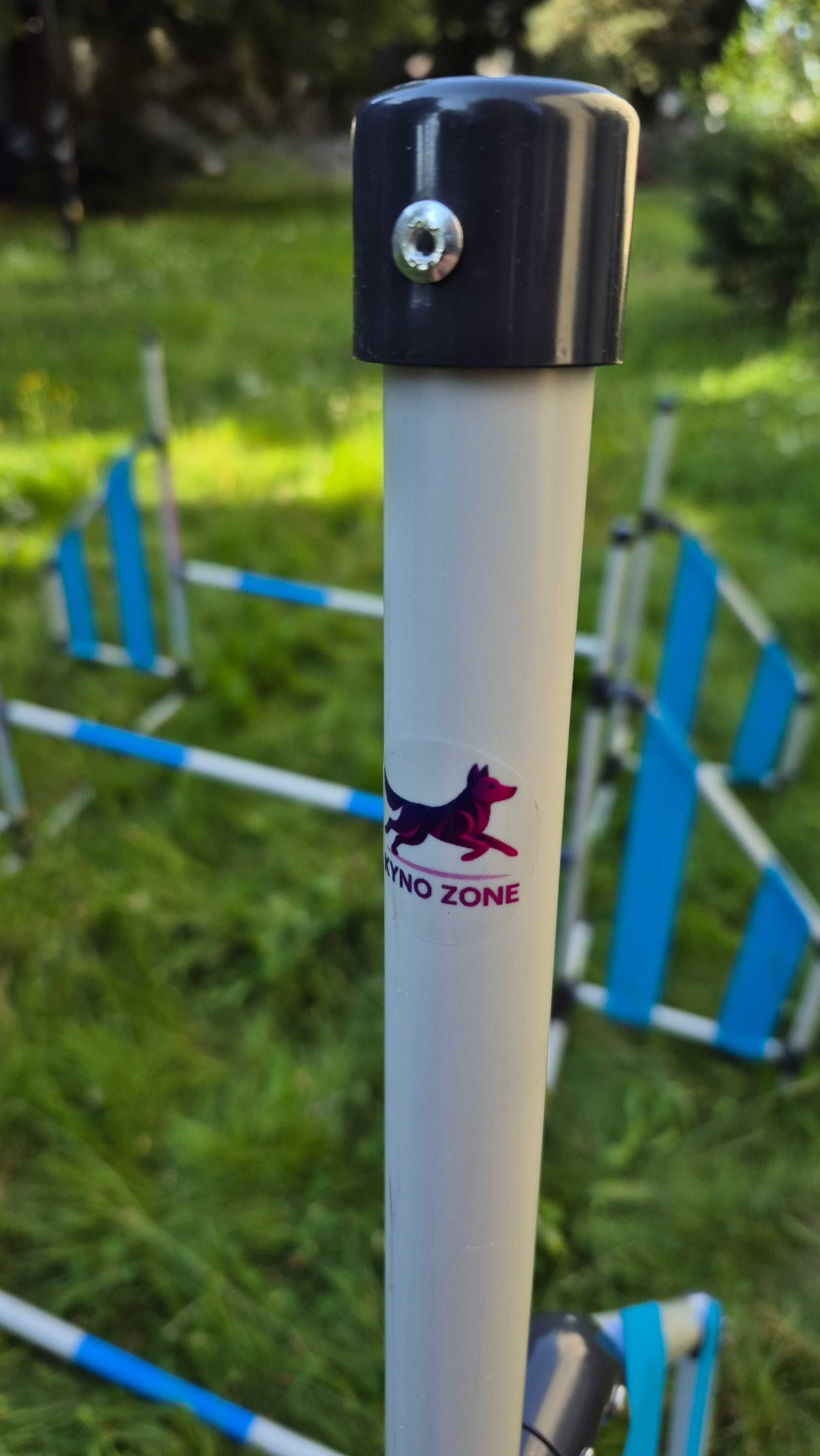 Nowa stacjonata dog agility - niebieska