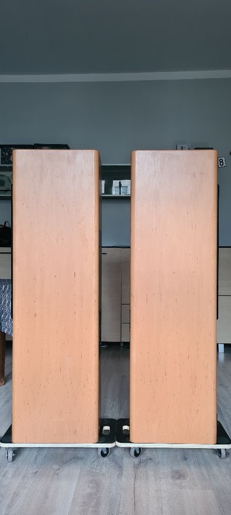 Kolumny T+A Criterion TB 160 – Top Hi-Fi, najwyższa klasa dźwięku!