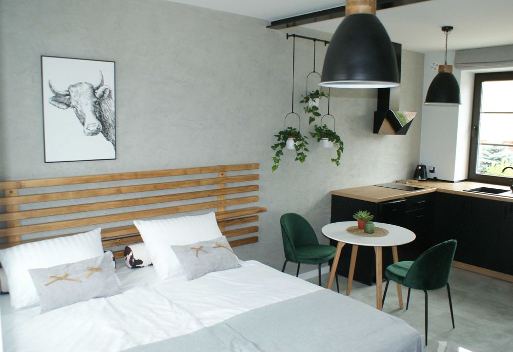 Apartamenty nad jeziorem - Jaskółcze Gniazdo