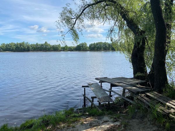 База отдыха Десна, домик дача у реки, в лесу, аренда на лето в Киеве