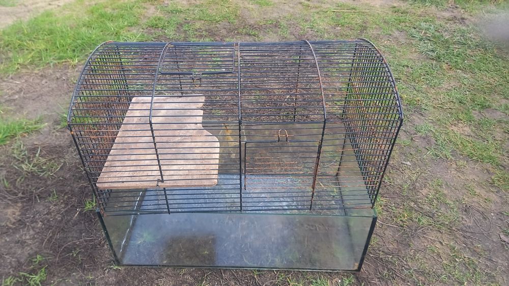 Klatka-akwarium dla chomika myszki gryzoni