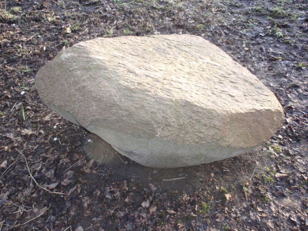 Kamień ozdobny np: do ogrodu