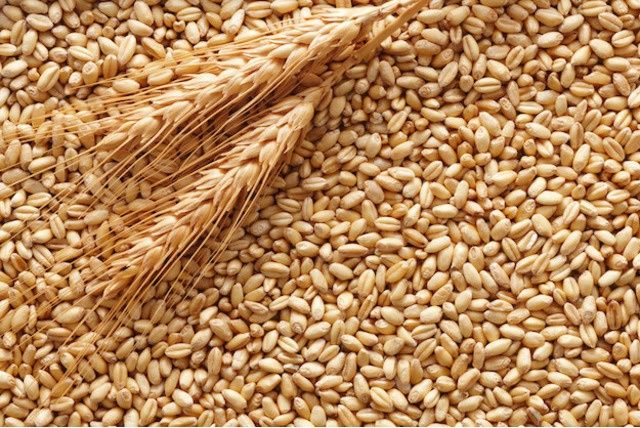 Продам пшеницу урожай 2021 года