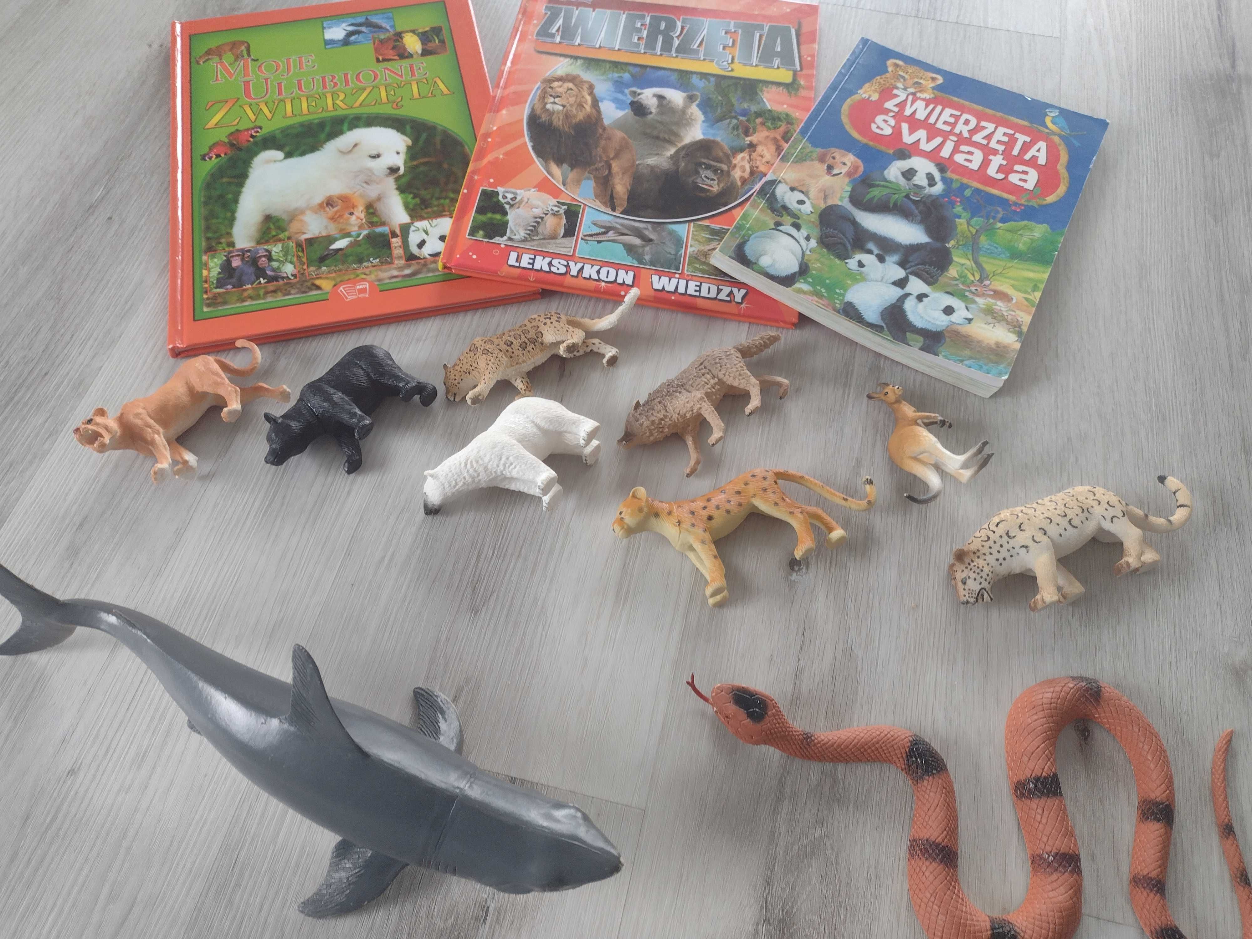 zestaw dla miłośnika zwierzątek książki plus figurki zwierząt