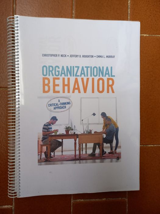 Organizational Behavior - A Critical Thinking Approach