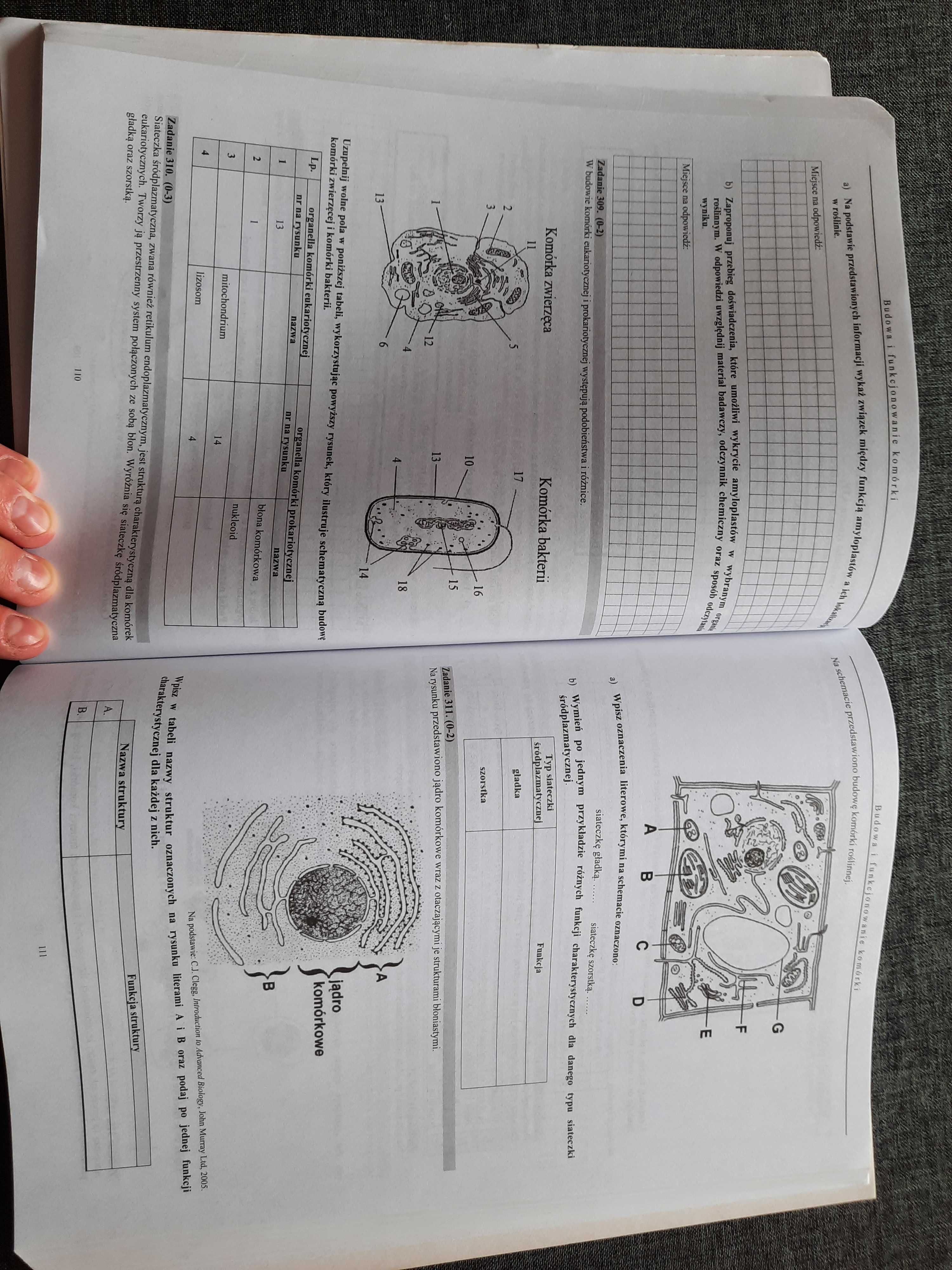 Biologia cz.1 Witowski