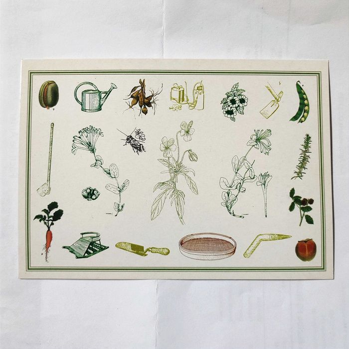 Postal Câmara Municipal Loures caminhada ambiente vereador PS 1989-93