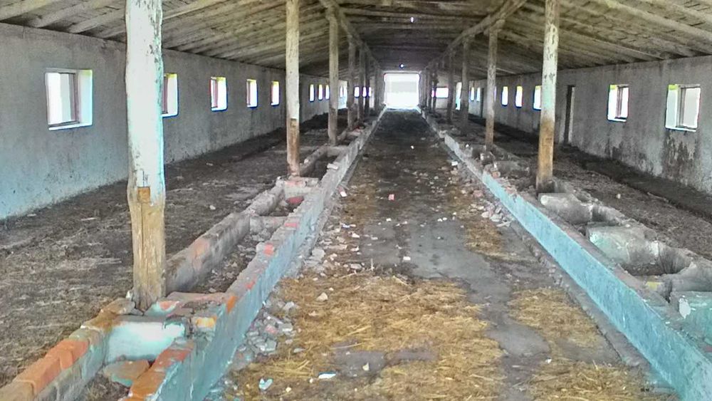 комерційна нерухомість