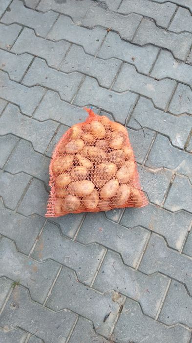 Młode Ziemniaki żółte kaliber45+ opakowanie 5kg