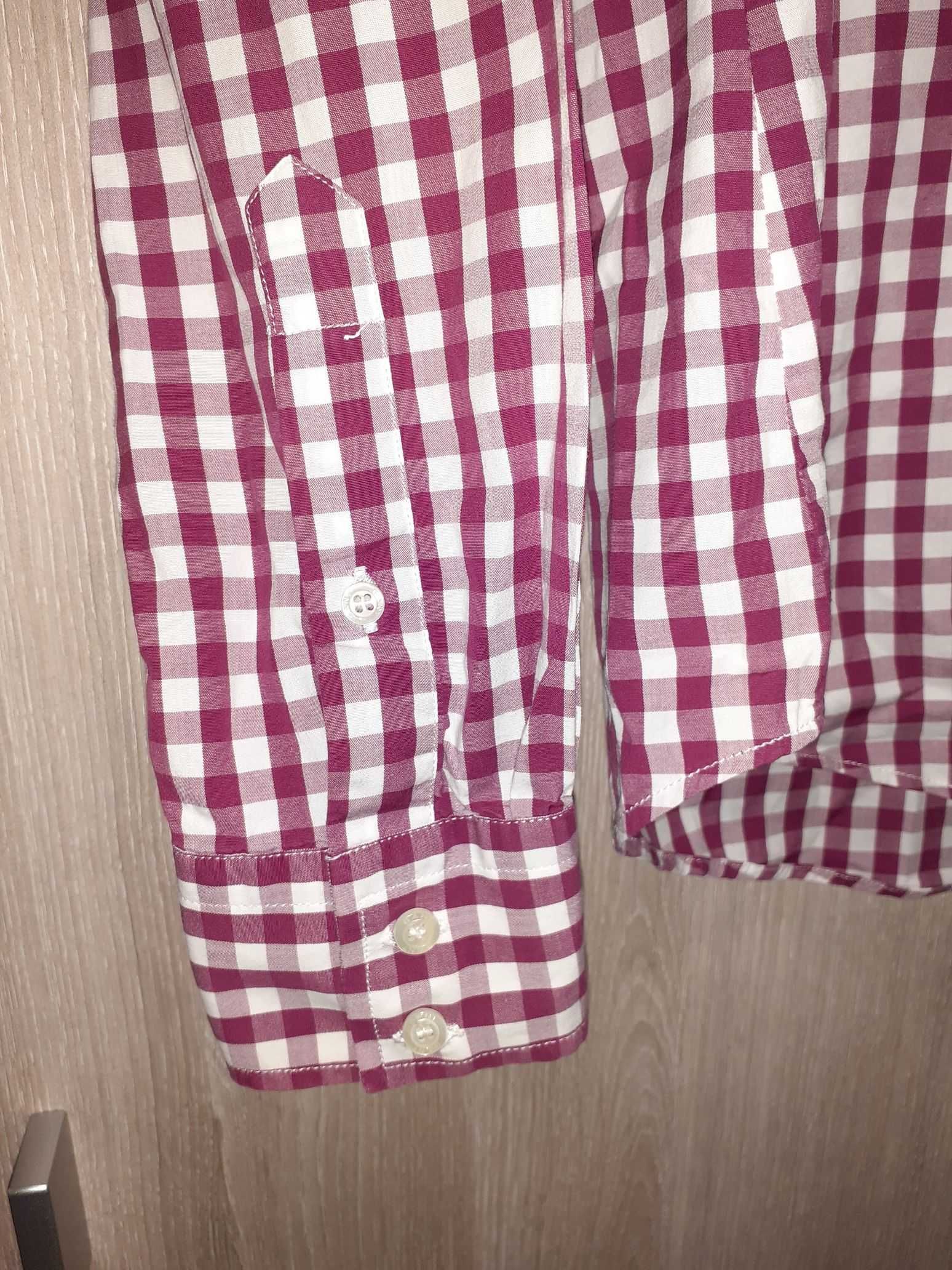 10 Camisas (Ralph Lauren, Gant, Zara) - do S ao XL