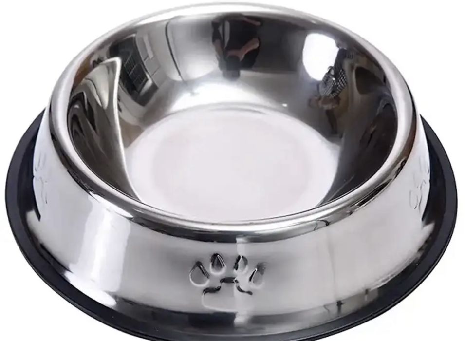 Miska dla psa uszkodzona