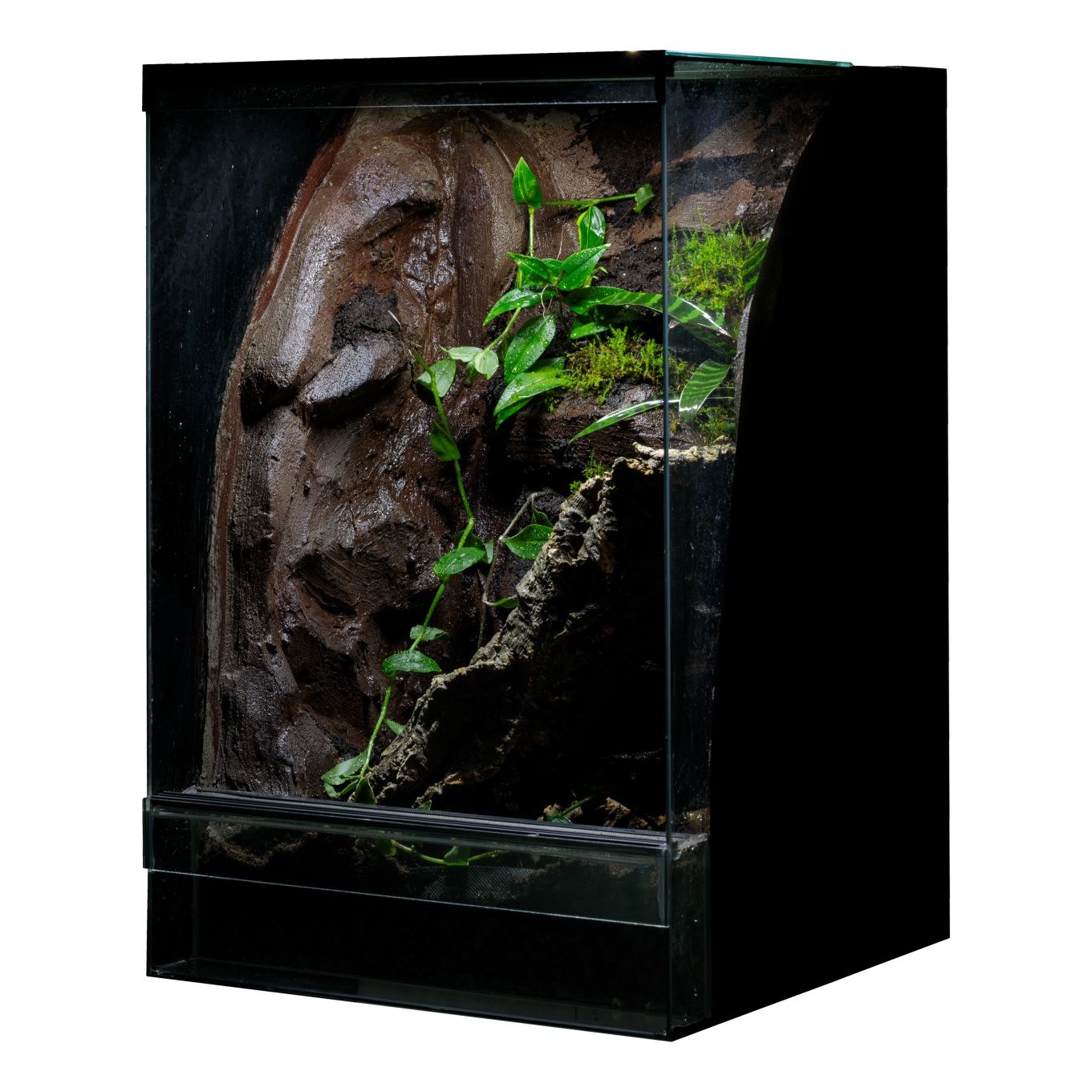 Terrarium 40x40x60