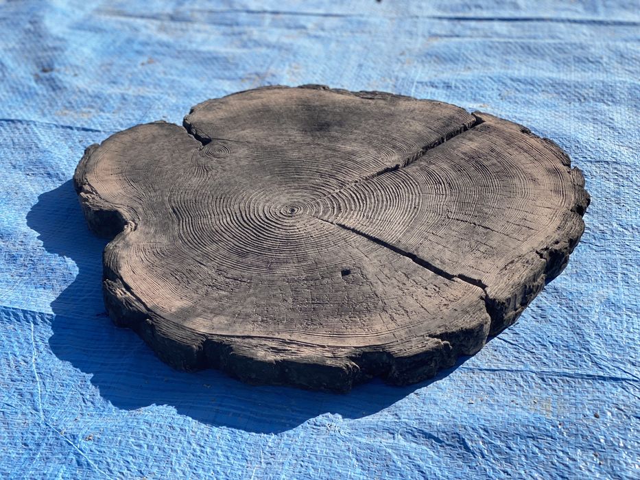 Плитка пенек, спил дерева  тротуарная плитка днепр