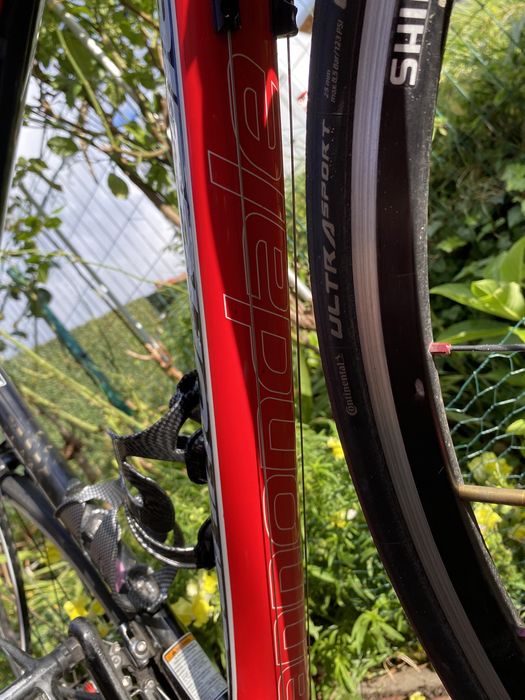 Rower szosowy Cannondale Synapse , kolarzówka