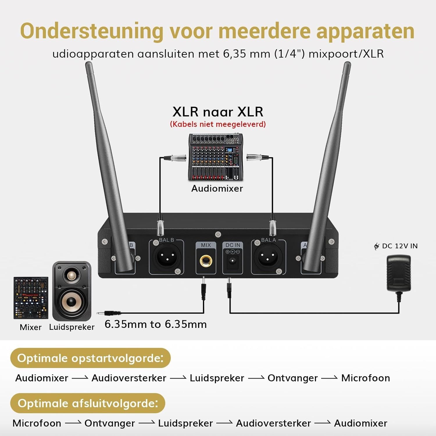 Tonor TW820 zestaw mikrofonów do karaoke