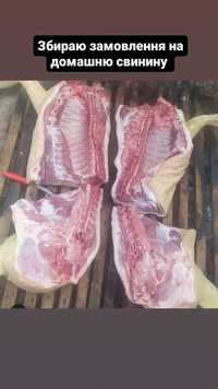 М'ясо  домашньої свинини