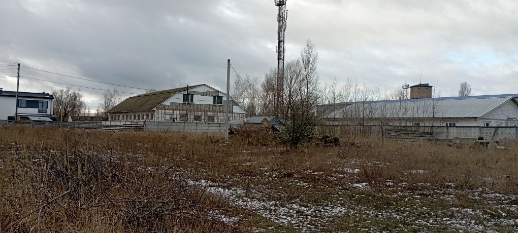 17 соток під забудову Старі Петрівці