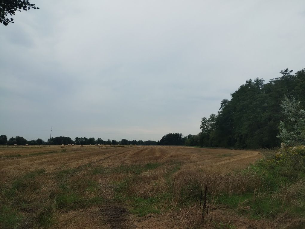Sprzedam działkę rolno-budowlaną Komsin 2,37 ha