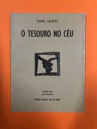 O tesouro no céu - Pedro Calapez