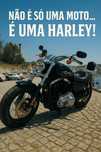 Harley Davison XL 1200