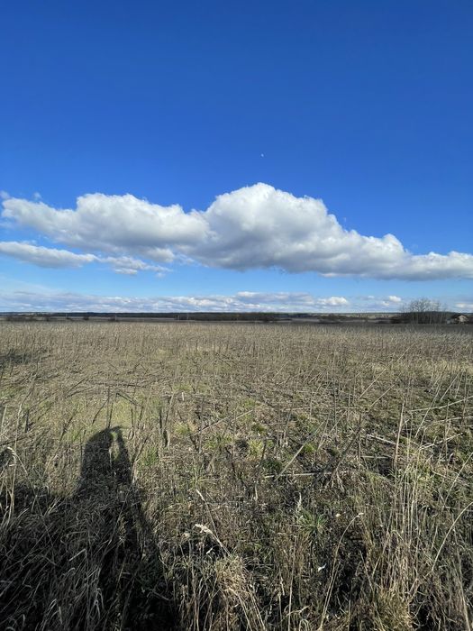 Земельна ділянка 84 сотки Осг