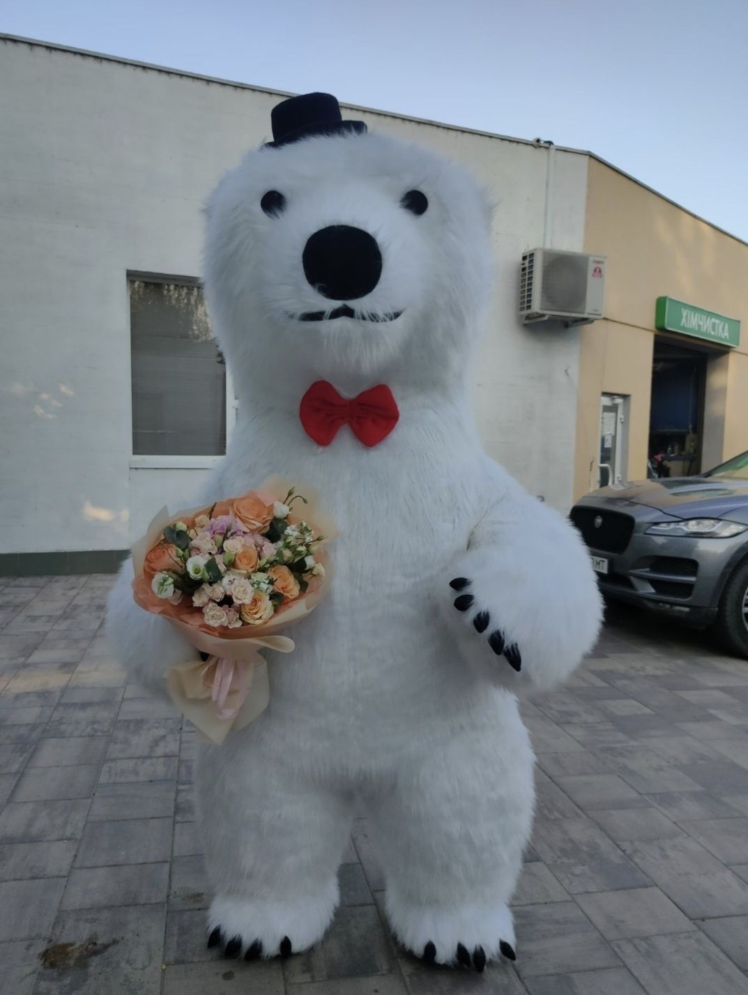Медведь поздравления! Измаил.