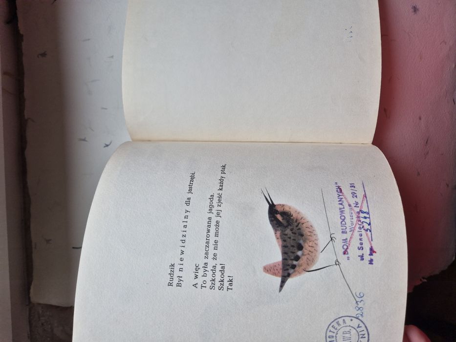 Zaczarowana Jagoda - Mieczysława Buczkówna 1962