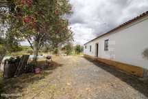 Herdade - Alvito