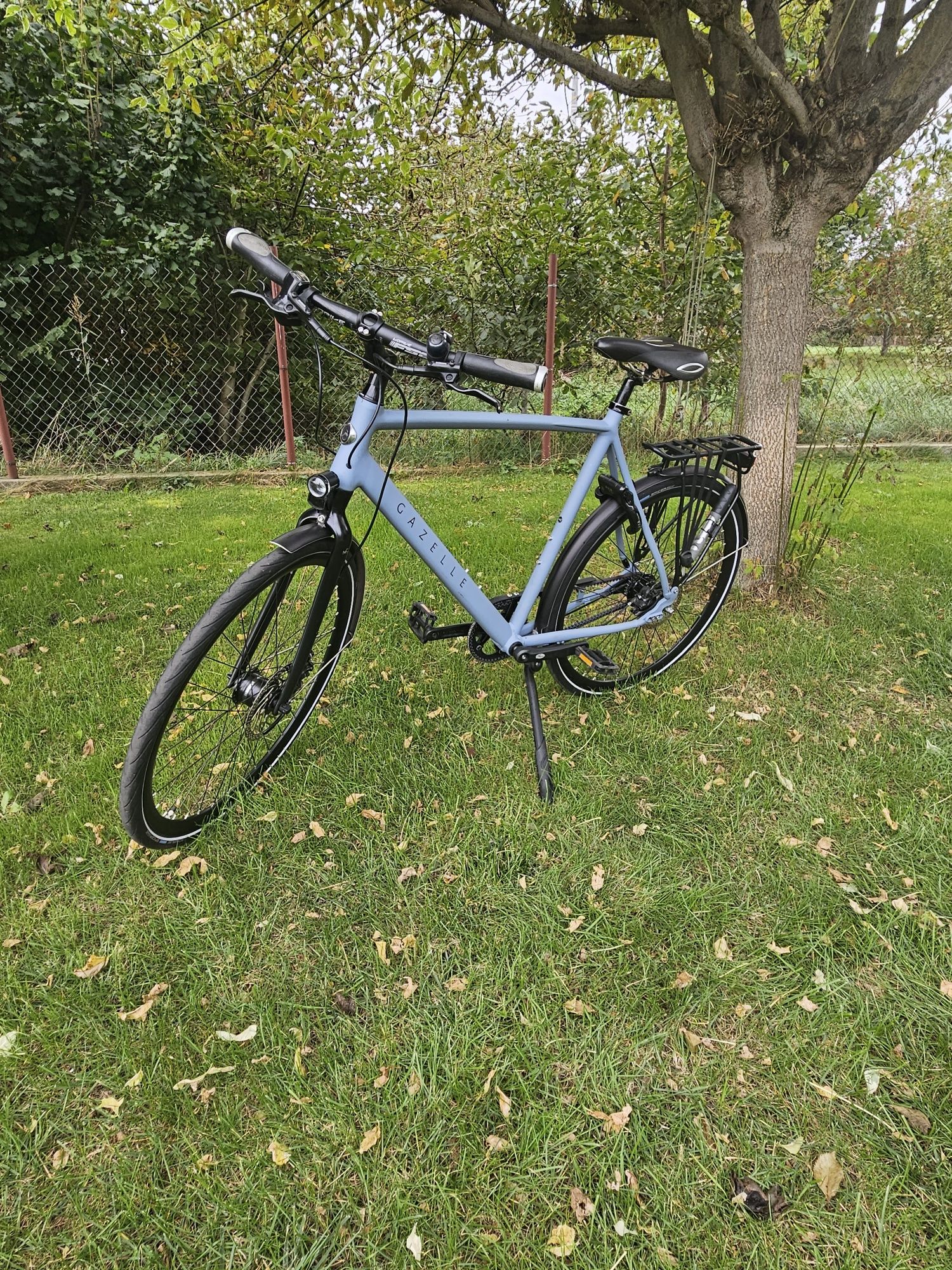 Gazelle Marco Polo H61