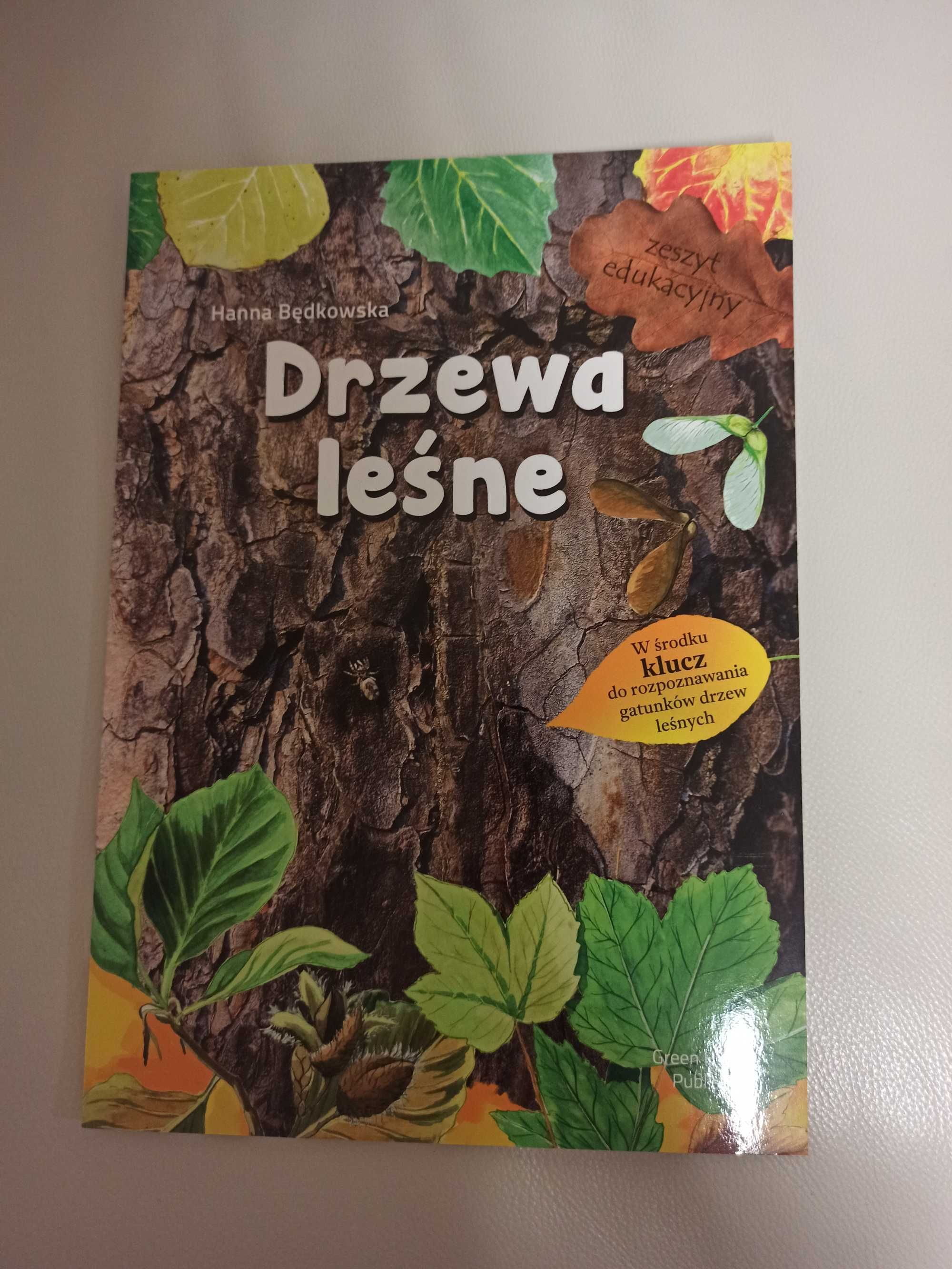 Książka drzewa leśne