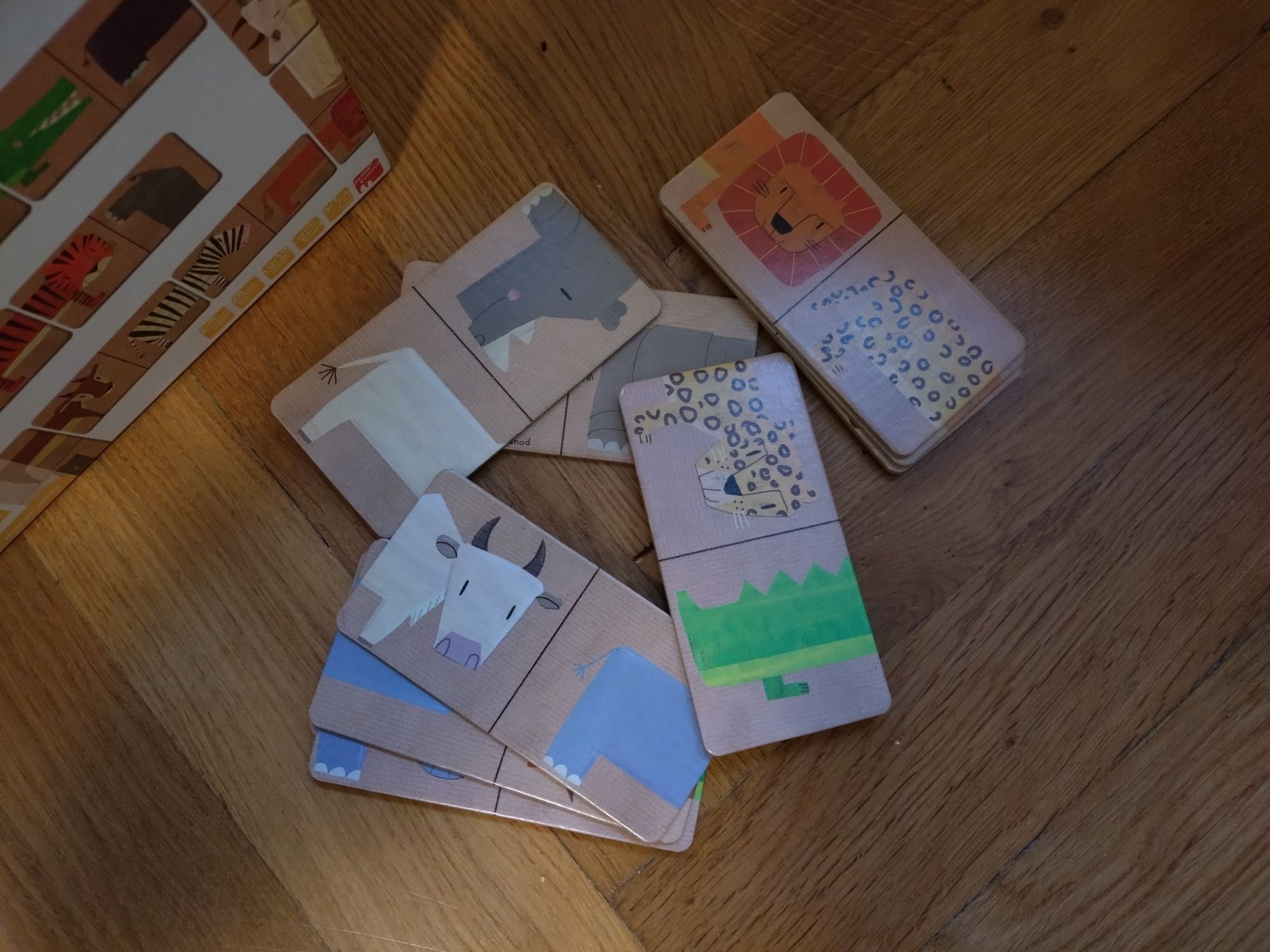 Domino Janod zwierzęta