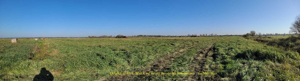 Nieruchomość rolna niezabudowana, Wężyska - licytacja komornicza