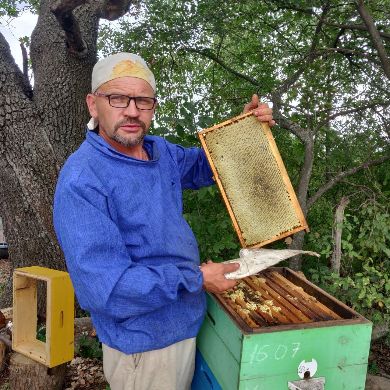 Бджолопакети , бджолосімї