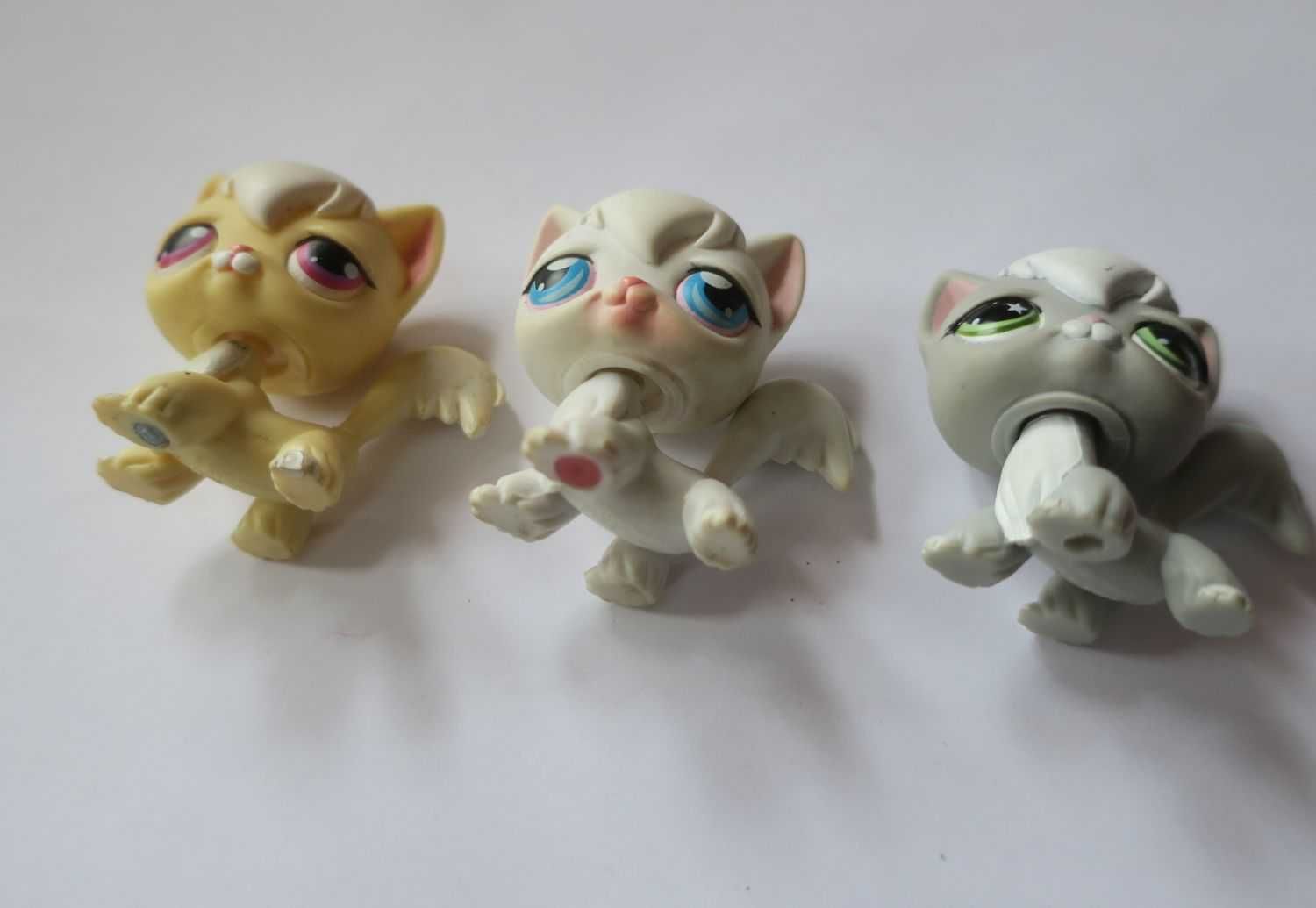 Kot littlest pet shop kotek