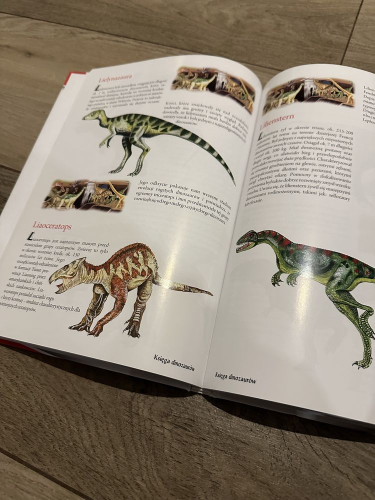 Księga Dinozaurów książka