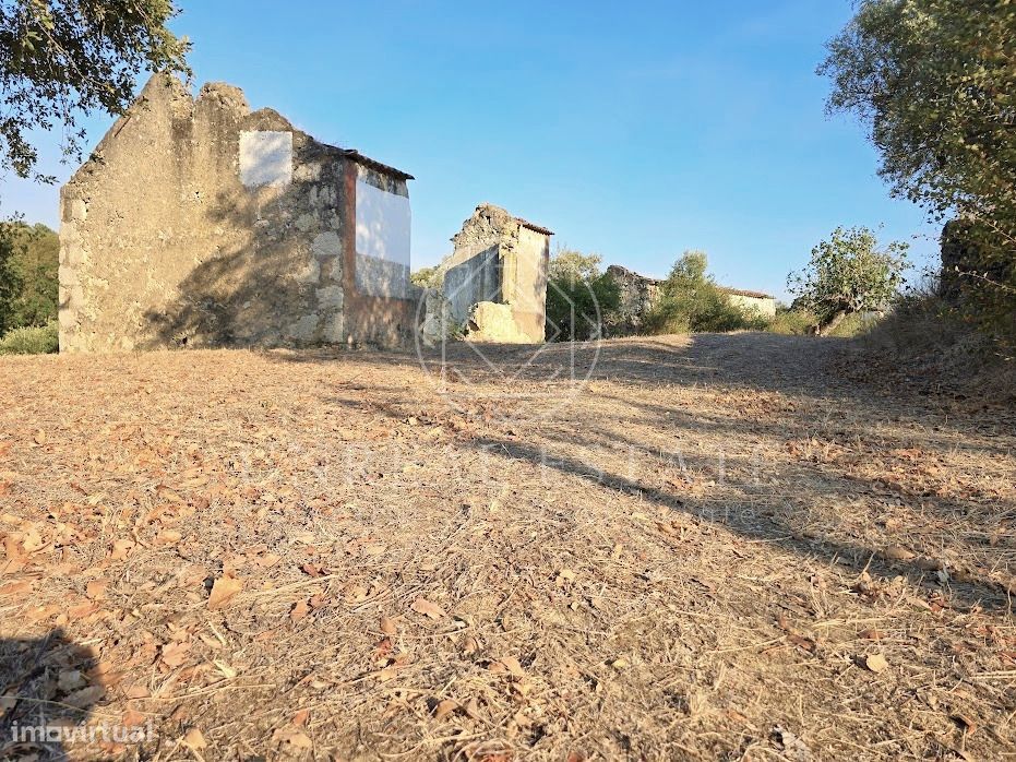Terreno Misto  Venda em Torres Novas (São Pedro), Lapas e Ribeira Bran